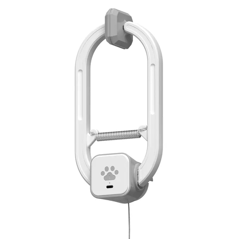 Rechargeable automatic cat teaser wand with 2 modes—random bouncing and 360° rotation—to keep your cat active and engaged.