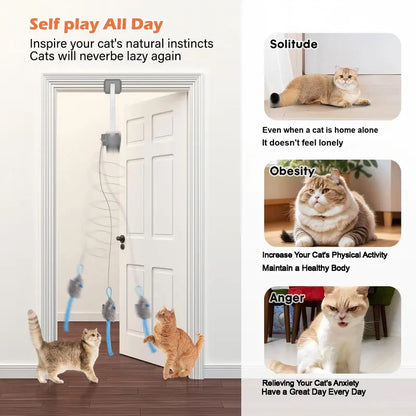 Rechargeable automatic cat teaser wand with 2 modes—random bouncing and 360° rotation—to keep your cat active and engaged.