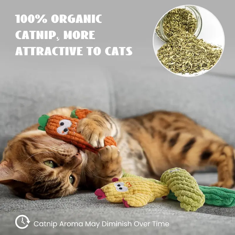 100% premium catnip filling, 5-piece cactus cat toy set—a feline favorite.