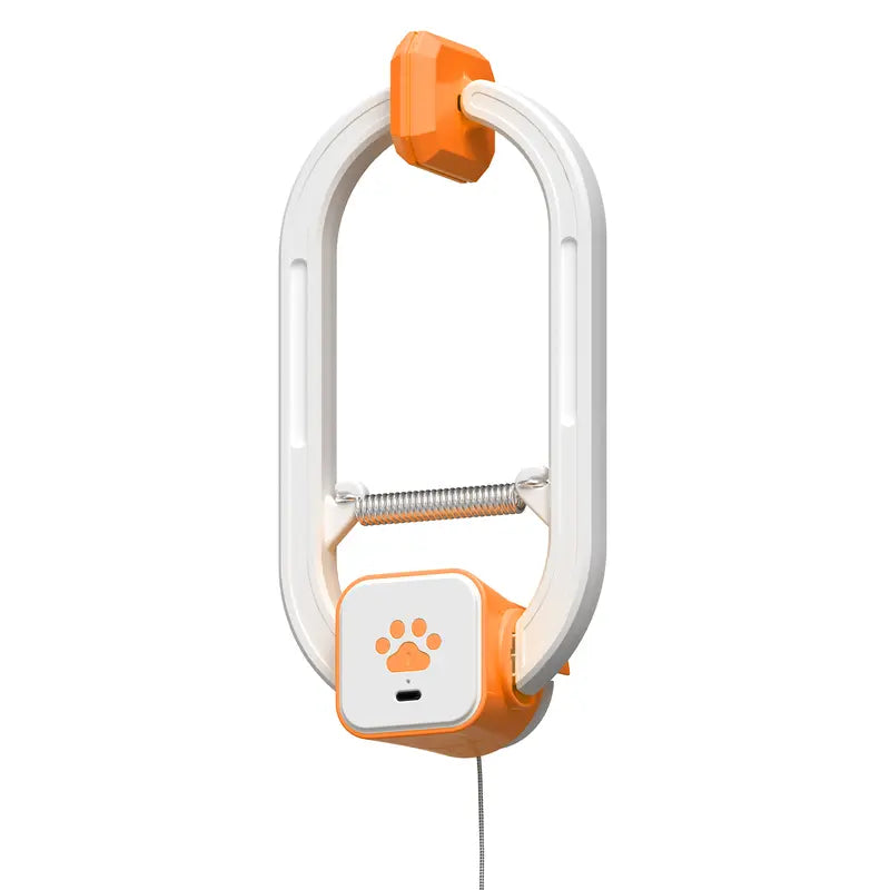 Rechargeable automatic cat teaser wand with 2 modes—random bouncing and 360° rotation—to keep your cat active and engaged.