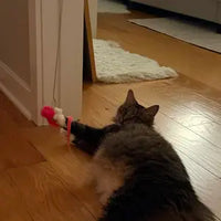 Review image 1